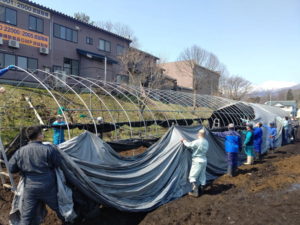 霊芝ハウスづくり